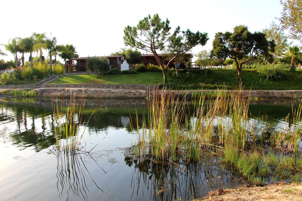 Herdade Do Sardanito Da Frente Zambujeira do Mar Exteriör bild