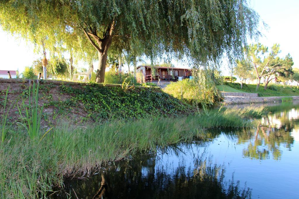 Herdade Do Sardanito Da Frente Zambujeira do Mar Exteriör bild